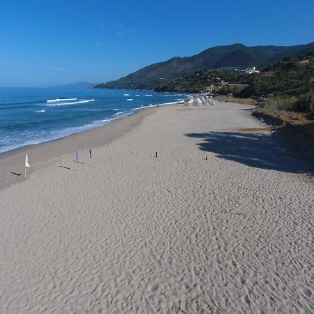 Residence Le Palme - Appartamenti Sul Mare - Spiaggia Tra Palinuro E Caprioli Pisciotta Bagian luar foto