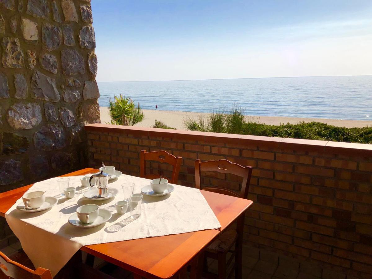 Residence Le Palme - Appartamenti Sul Mare - Spiaggia Tra Palinuro E Caprioli Pisciotta Bagian luar foto